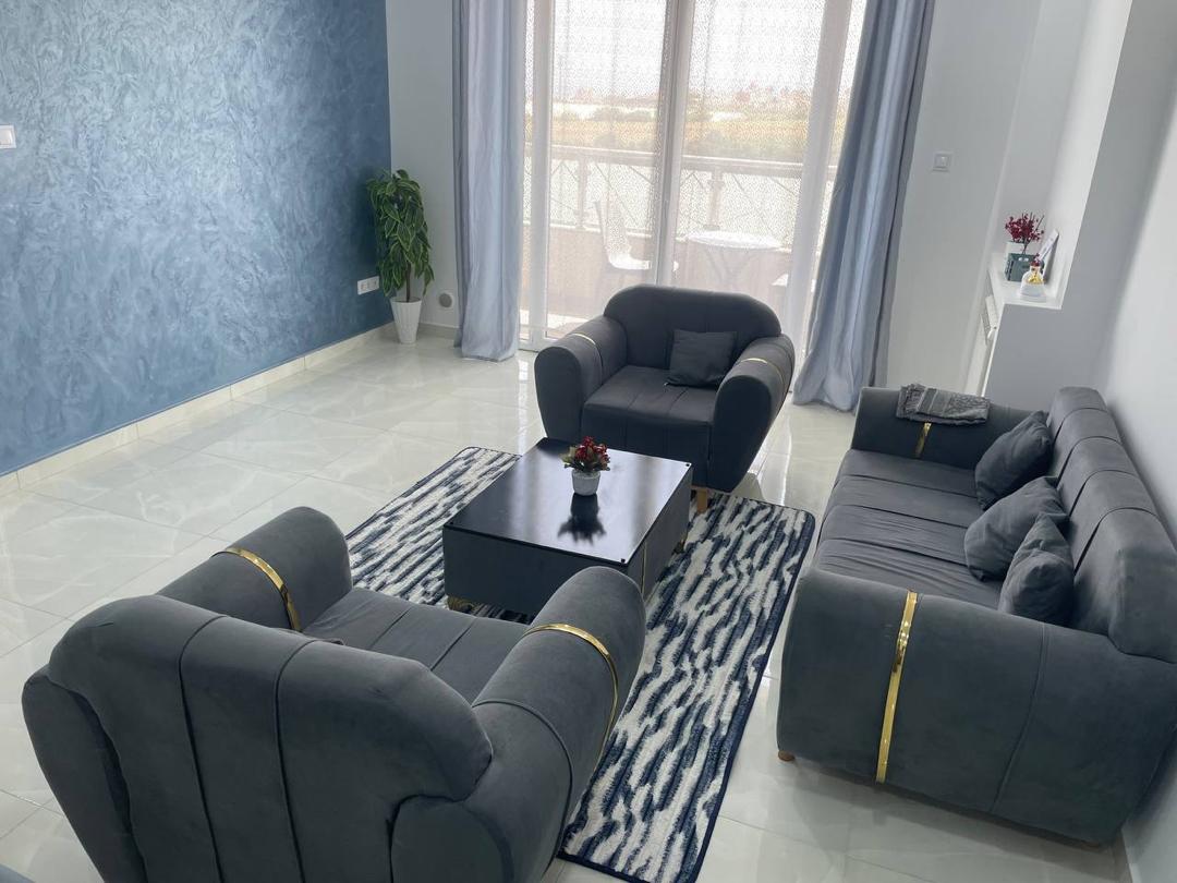 Salon canapes gris vue balcon